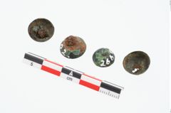 Foto von Bronzenietkopf (NHMW-PRAE-026692)